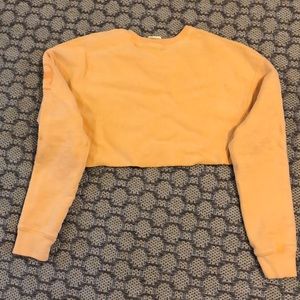Champion orange crop top sweater